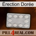 Érection Dorée 16